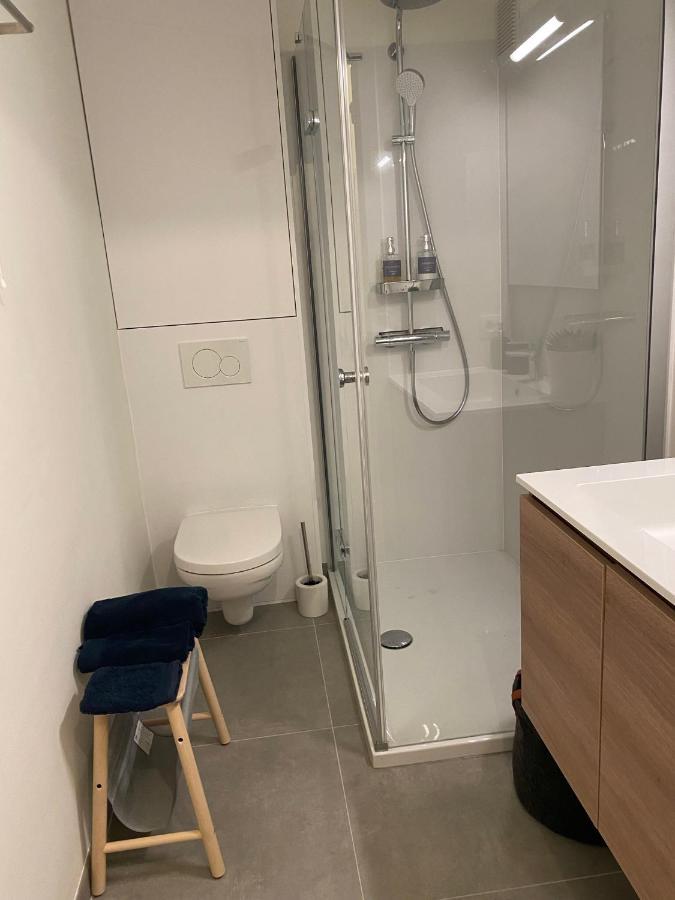Cosy Studio Testerep , Newly Renovated Ostend Luaran gambar